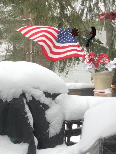 Glory in Snow