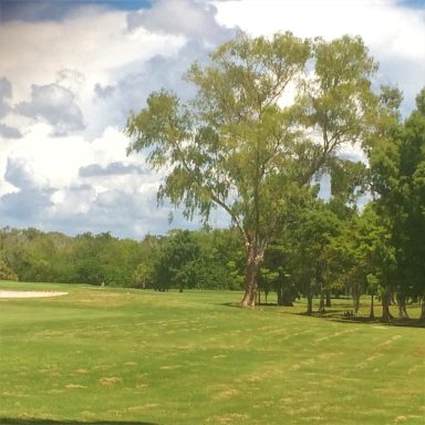 Golf Course 