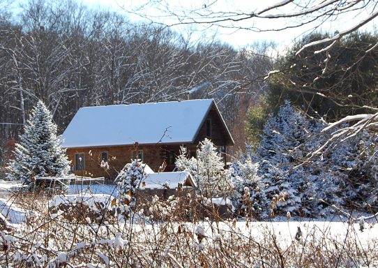 North Side Cabin in Snow